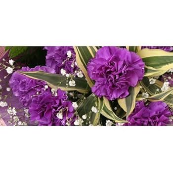 専用 紫色のカーネーションとアルストロメリア 4セット 10月下旬出品 秋色紫陽花 メラレウカ アルストロメリア SPカーネーション かん